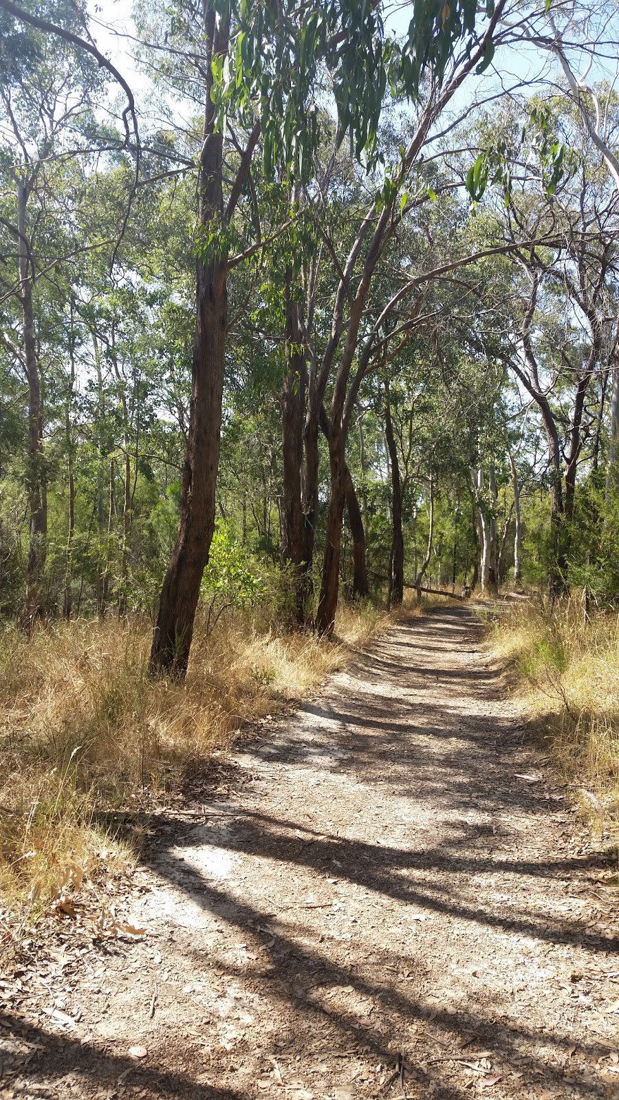 100 Acres Reserve | park | Knees Rd, Park Orchards VIC 3114, Australia | 0398409333 OR +61 3 9840 9333