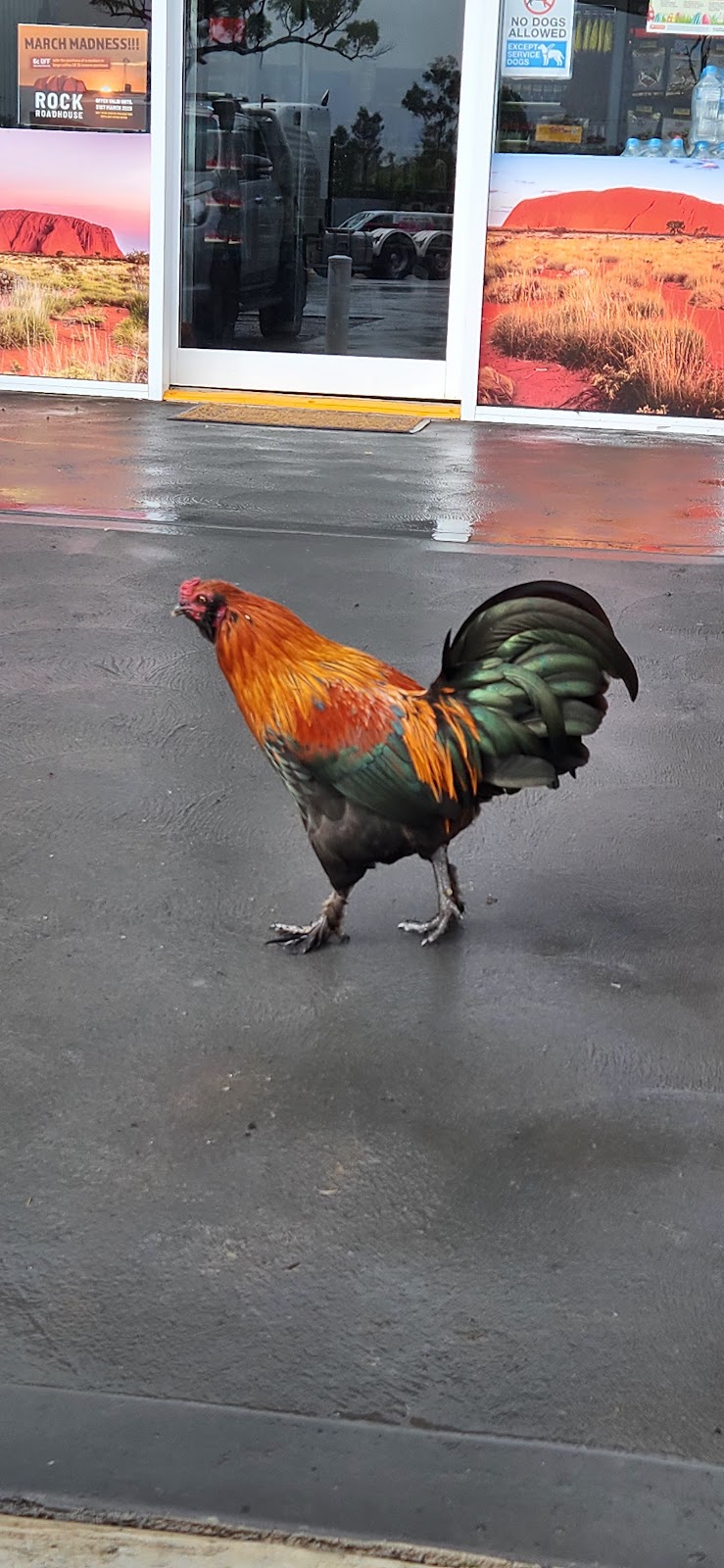 The Rock Roadhouse | 652 Gooreengi Rd, North Arm Cove NSW 2324, Australia | Phone: 0477 949 002