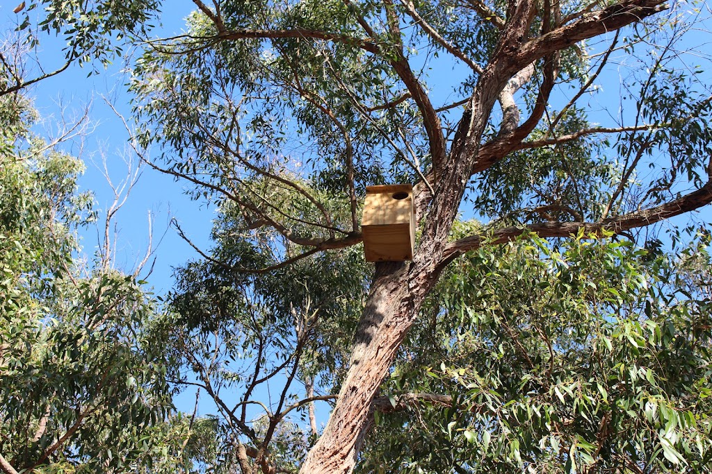 James Godfrey Arborist Far South Coast | 65 Jellat Way, Kalaru NSW 2550, Australia | Phone: 0490 874 272