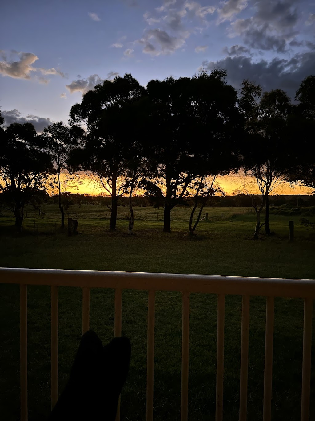 Stanthorpe Backpackers | 229 Granite Belt Dr, Thulimbah QLD 4376, Australia | Phone: 0407 859 548