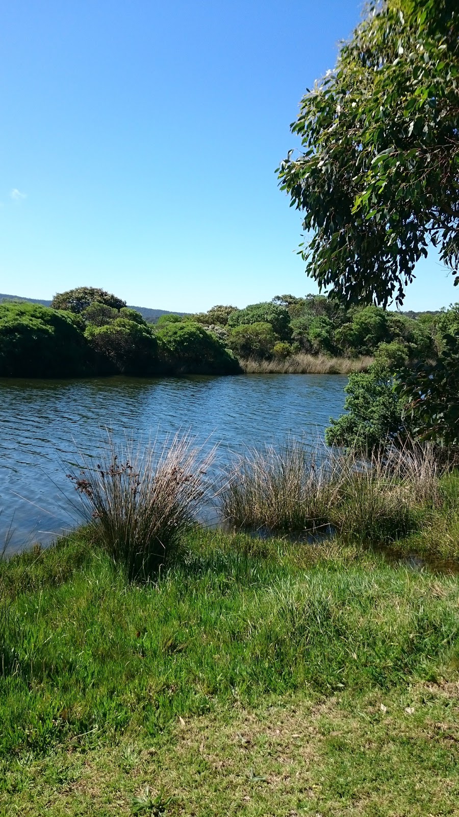 A River Bed | 12 River Reserve Rd, Aireys Inlet VIC 3231, Australia | Phone: 0409 327 936