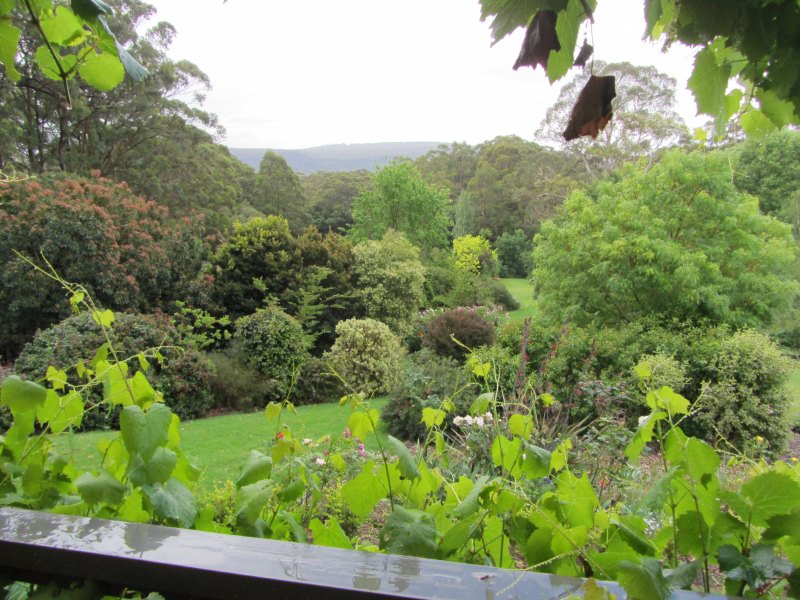 Wombat Hill Bed and Breakfast | 1010 Kangaroo Valley Rd, Bellawongarah NSW 2535, Australia | Phone: (02) 4464 1924