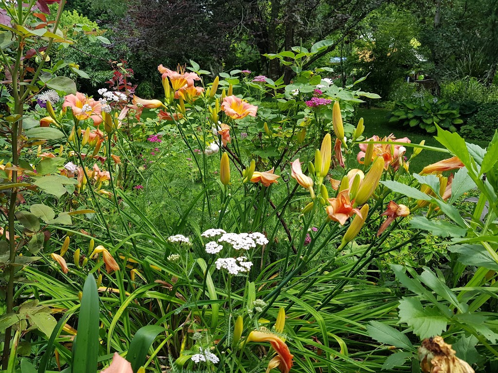 CPR Horticultural Services | 198 Wilson Dr, Hill Top NSW 2575, Australia | Phone: 0415 500 261