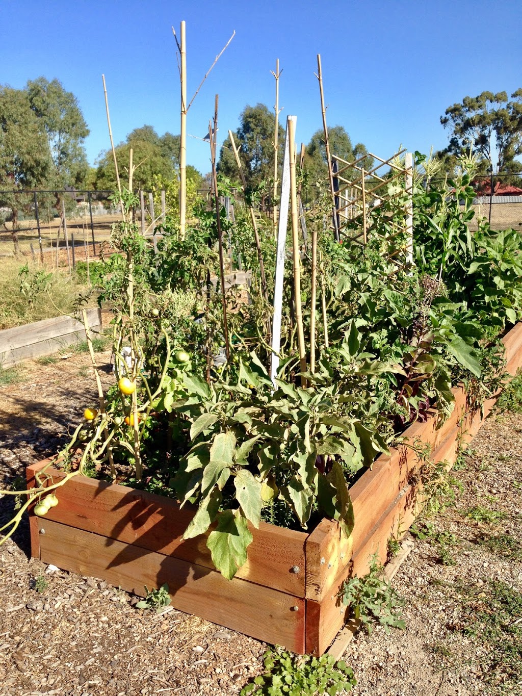 Braybrook Commons Community Garden | park | 107-139 Churchill Ave, Braybrook VIC 3019, Australia