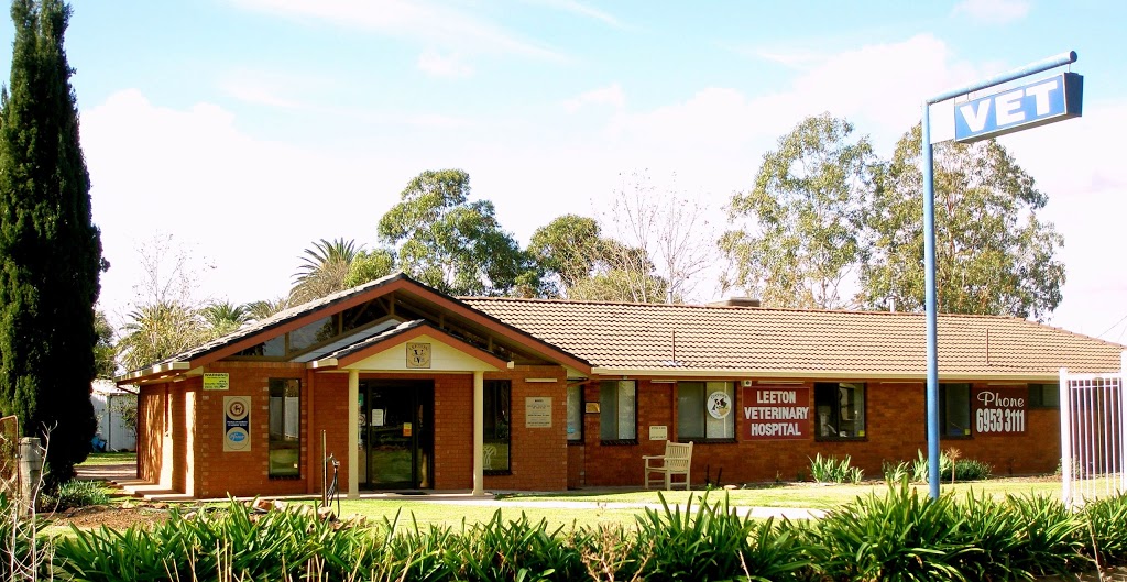 Leeton Veterinary Hospital | Farm 441 Yanco Ave, Leeton NSW 2705, Australia | Phone: (02) 6953 3111