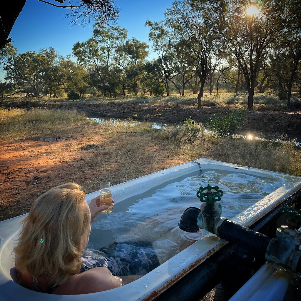 Charlotte Plains | 1993 Charlotte Plains Road, Cunnamulla QLD 4490, Australia | Phone: (07) 4588 8804