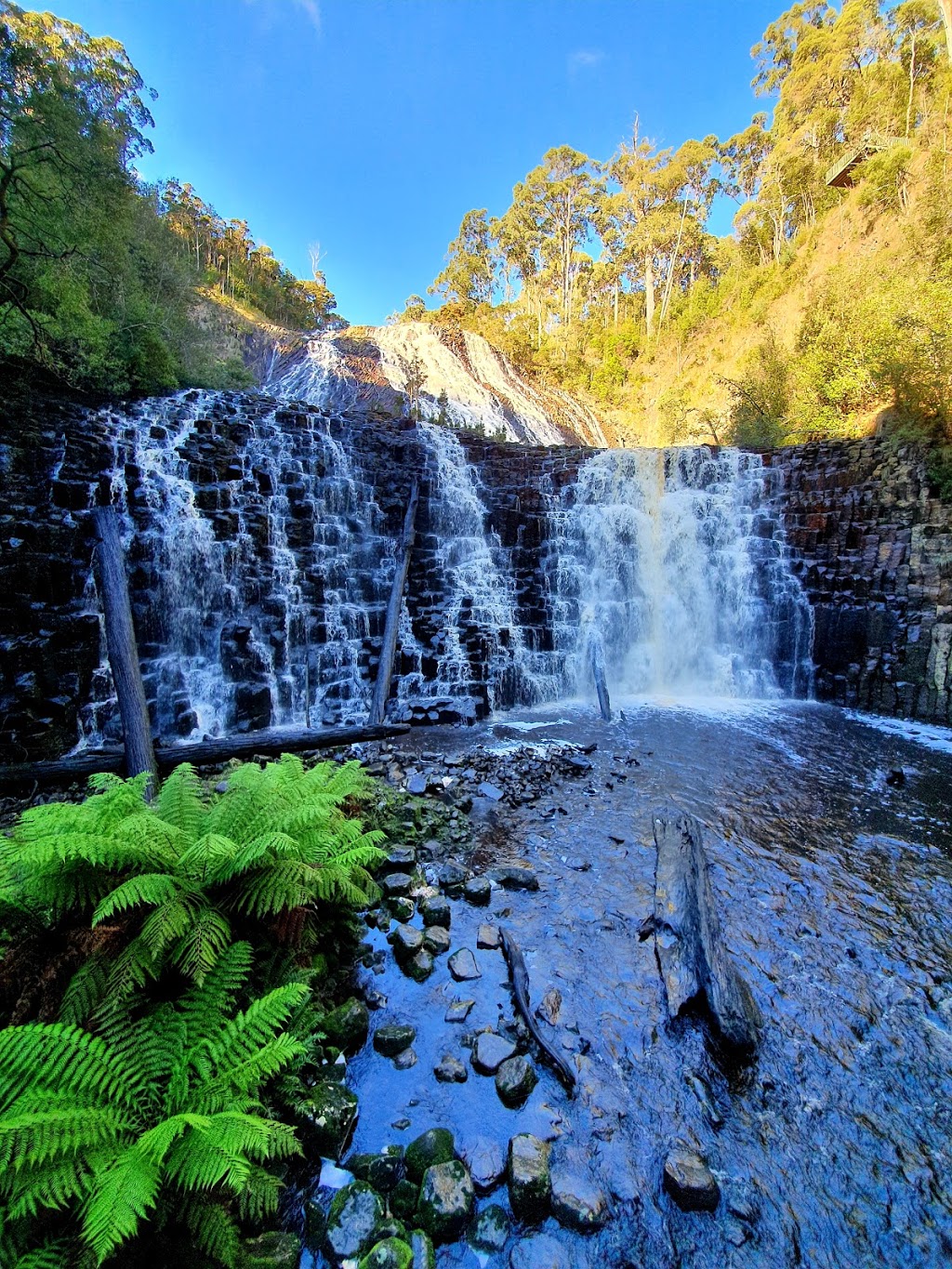 Dip River Forest Reserve | park | Mawbanna TAS 7321, Australia