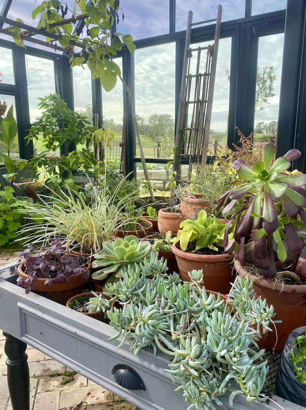 CMB Creative Gardens | 3 Mackeys Ln, Robertson NSW 2577, Australia | Phone: 0401 949 878