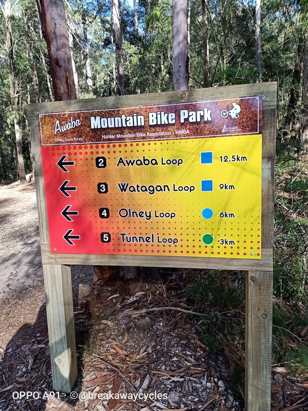 Awaba Mountain Bike Park |  | Jenkins Rd, Freemans Waterhole NSW 2323, Australia | 0249734446 OR +61 2 4973 4446