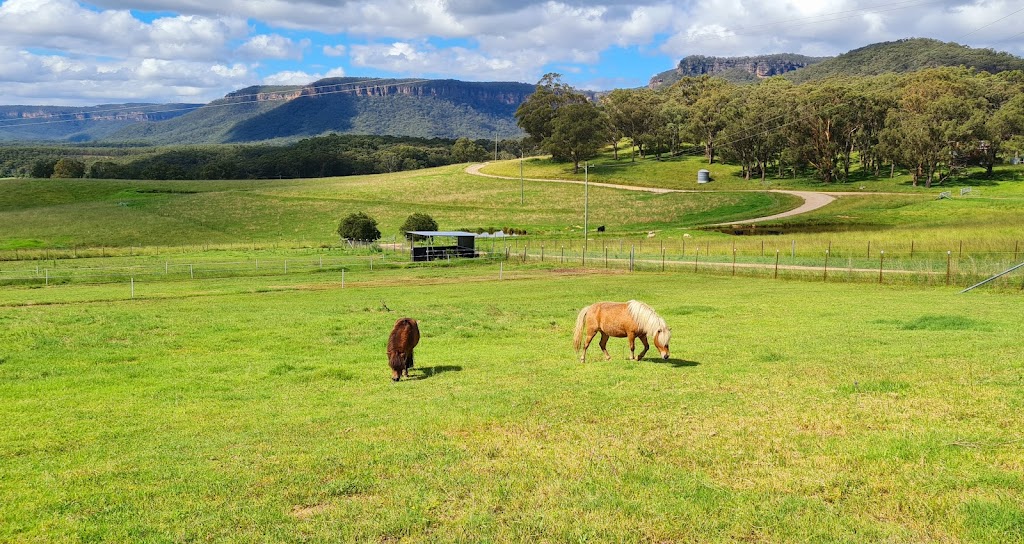 Amaroo Equine | 57c Ward Rd, Megalong Valley NSW 2785, Australia | Phone: 0407 063 915