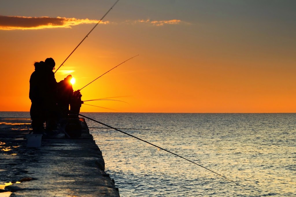 BCF (Boating Camping Fishing) Taylors Beach | 4, Unit B/6 Innovation Cl, Taylors Beach NSW 2316, Australia | Phone: (02) 4919 0458