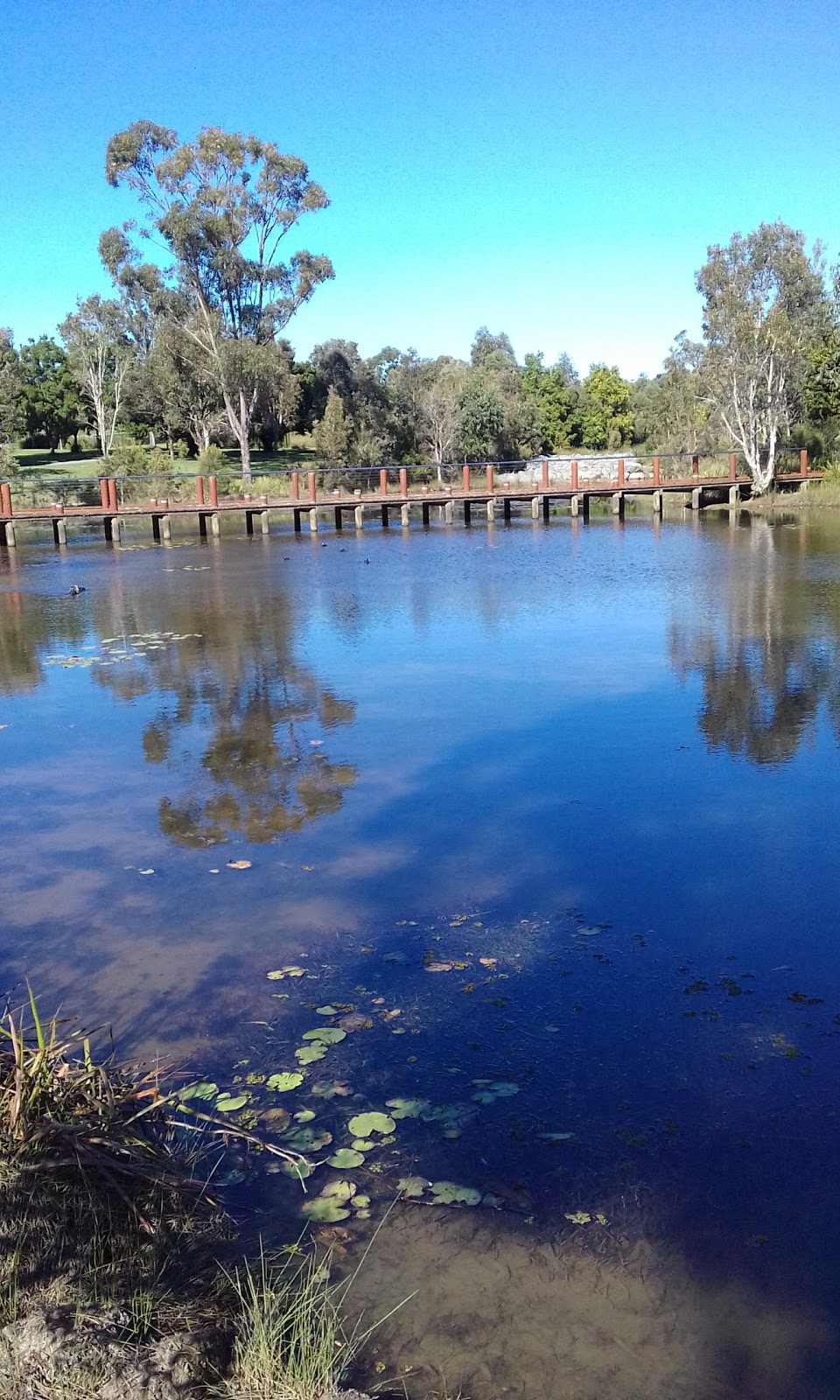 Coomera Springs Park | park | Upper Coomera QLD 4209, Australia