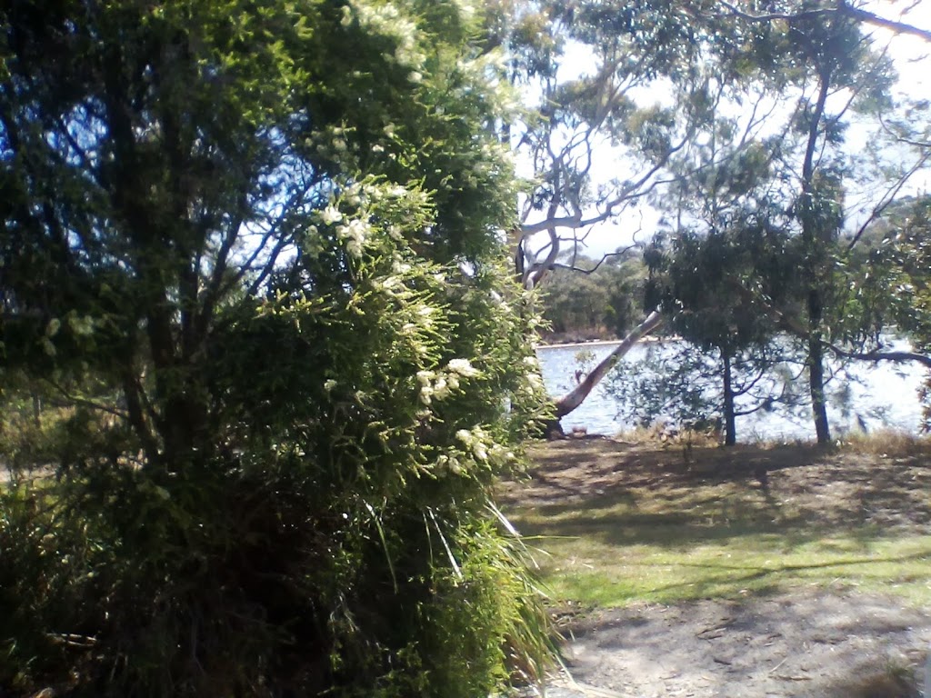 Blind Bight Nature Reserve | park | 2-46I Anchorage Dr, Blind Bight VIC 3980, Australia