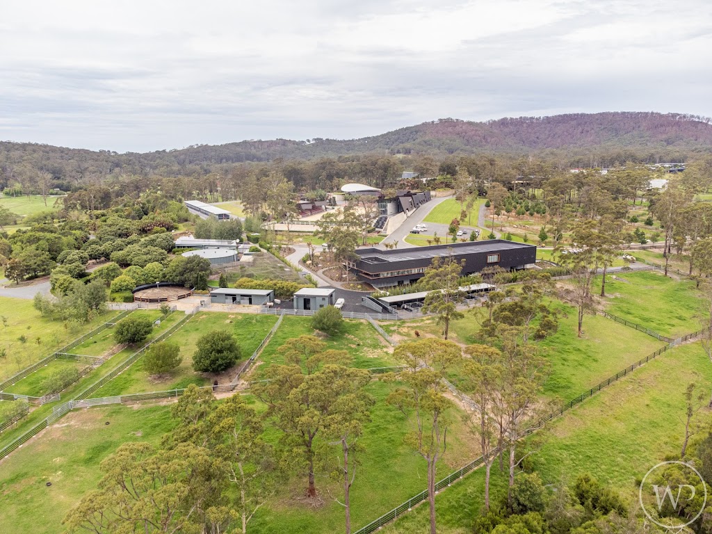 Willinga Park Equine Vet Hospital | 134 Forster Dr, Bawley Point NSW 2539, Australia | Phone: (02) 4405 5658
