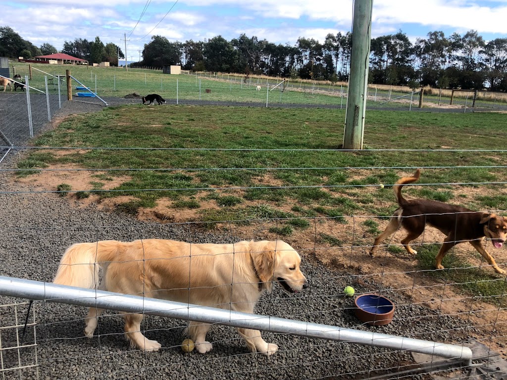 Castle Boarding Kennels | 1640 Bishopsbourne Rd, Longford TAS 7301, Australia | Phone: 0418 546 086