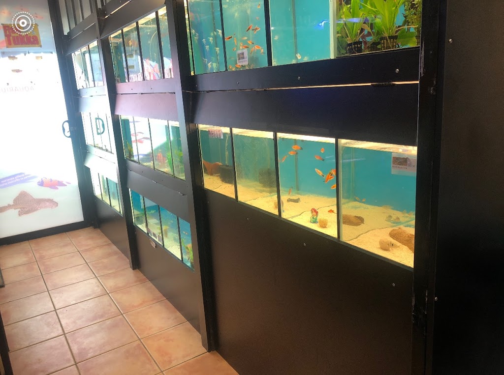 The Online Aquarium Shop | 545 Anzac Ave, Rothwell QLD 4022, Australia | Phone: (07) 3293 2404