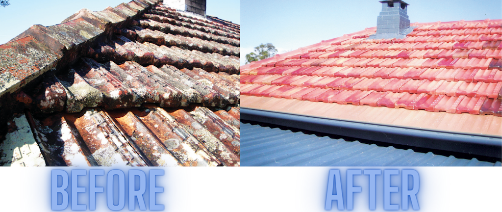 Wayne Treasure Roofing & Restoration | 24 Lake St, Forster NSW 2428, Australia | Phone: 0415 524 083