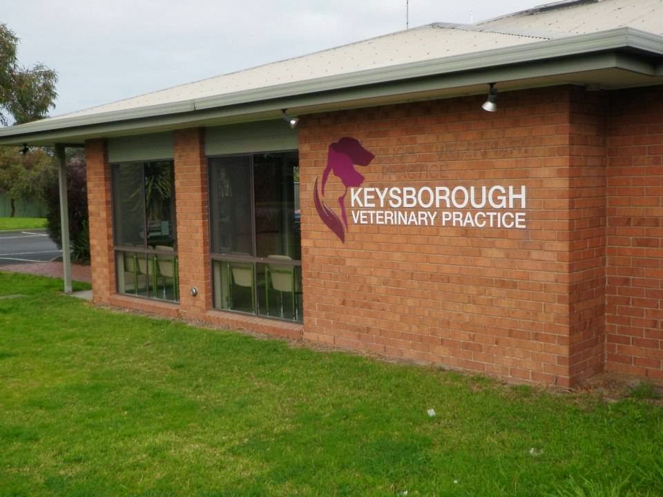 Keysborough Veterinary Practice | veterinary care | 4/8 Chapel Rd, Keysborough VIC 3173, Australia | 0397987274 OR +61 3 9798 7274