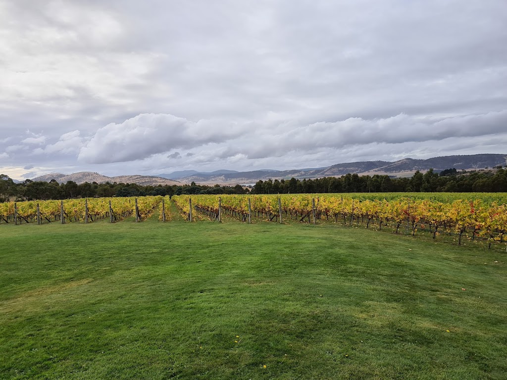 Frogmore Creek Winery | tourist attraction | 20 Denholms Rd, Cambridge TAS 7170, Australia | 0362745844 OR +61 3 6274 5844