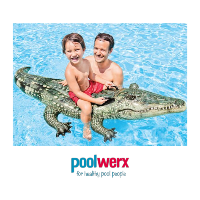 Poolwerx Burwood | store | 267 Burwood Hwy, Burwood VIC 3125, Australia | 0398888400 OR +61 3 9888 8400