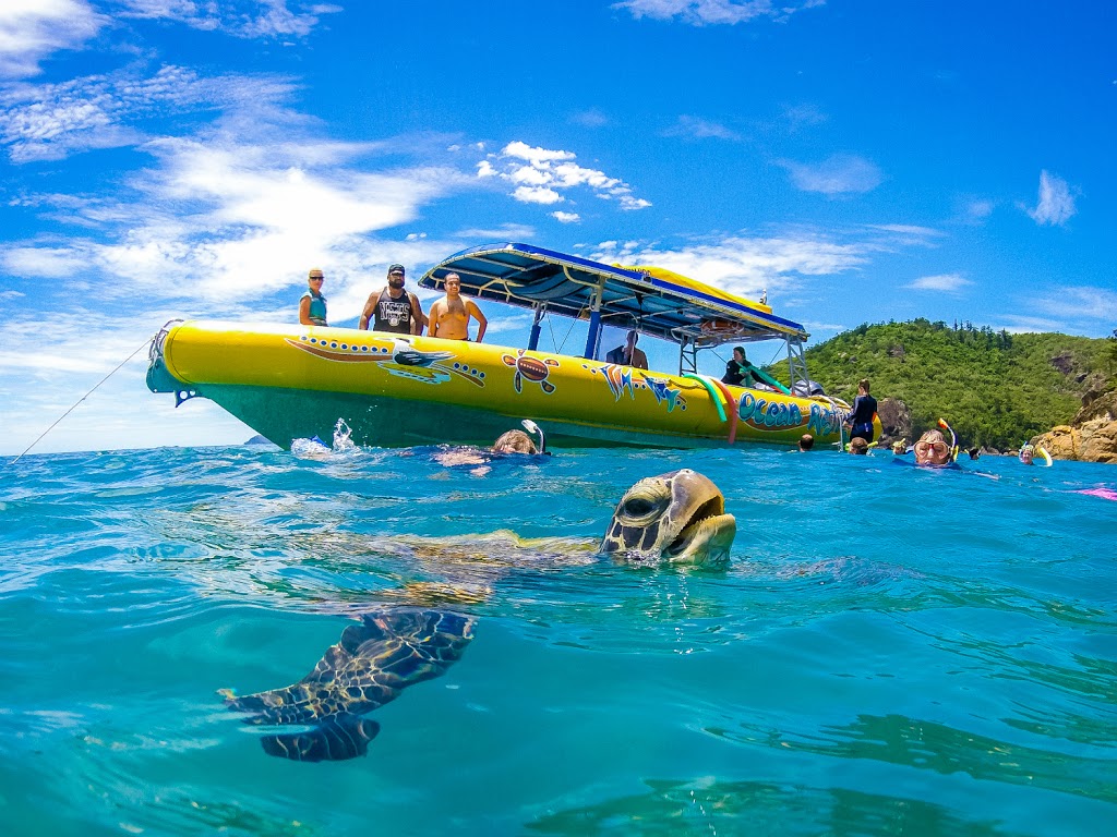 Ocean Rafting | Coral Sea Marina North Village, Shingley Dr, Airlie Beach QLD 4802, Australia | Phone: (07) 4946 6848