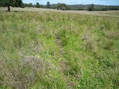 Ochre Arch Farm Tours | tourist attraction | Ochre Arch, 761 Goodes Lane, Pinnacle NSW 2810, Australia | 0263435105 OR +61 2 6343 5105