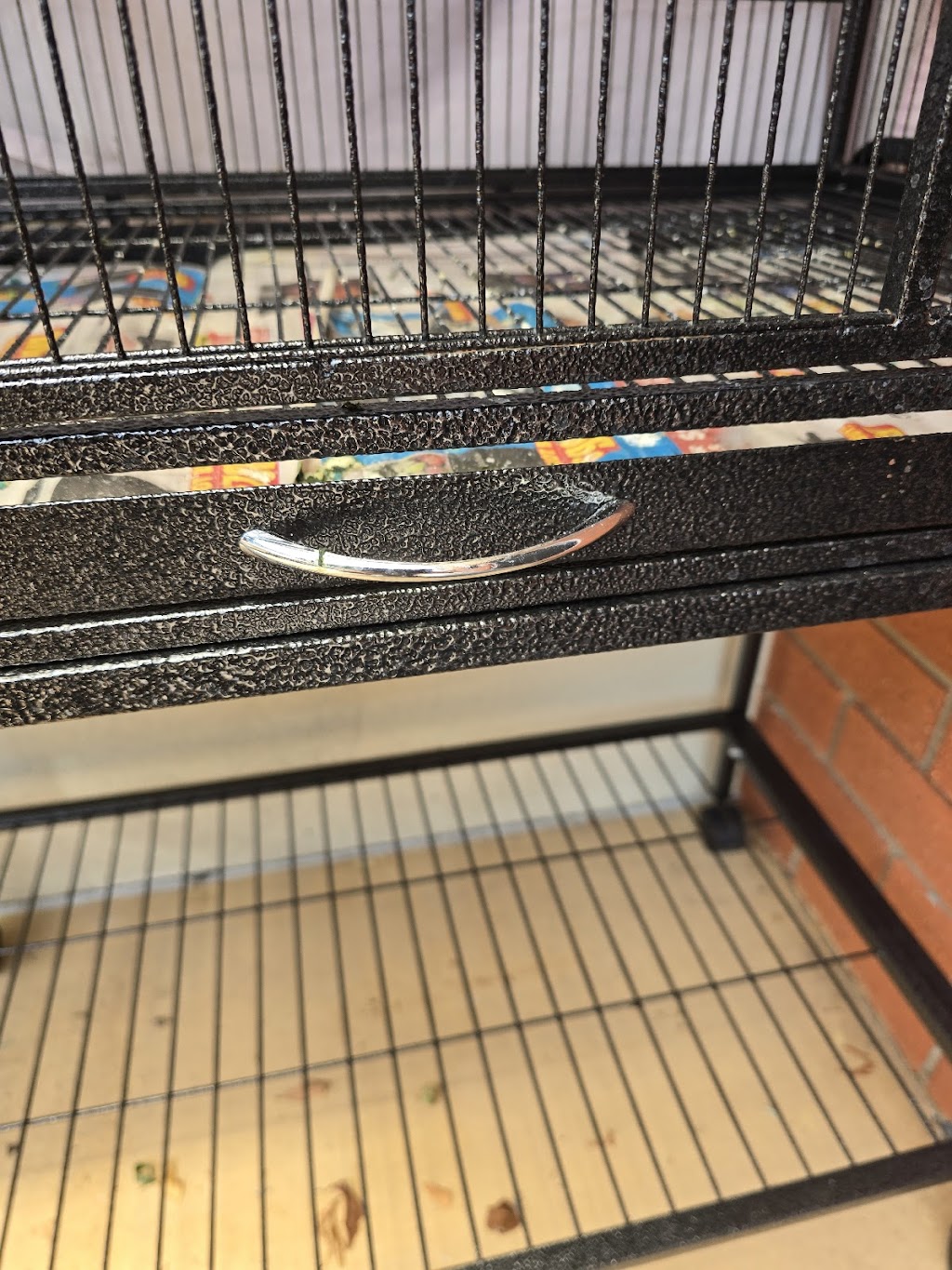 East Coast Pet Supplies | Campus Tech Park, Unit 9/17/19 University Dr, Meadowbrook QLD 4131, Australia | Phone: 0448 973 969