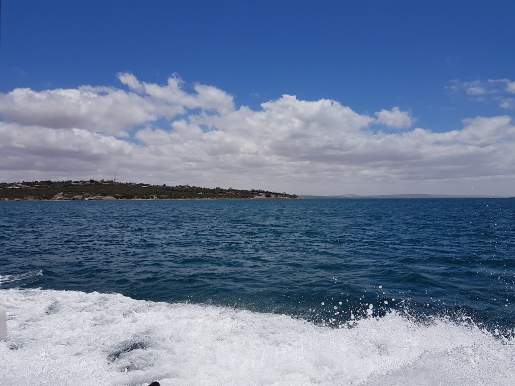 Port Lincoln Fishing Charters | travel agency | 3 N Quay Blvd, Port Lincoln SA 5606, Australia | 0400055663 OR +61 400 055 663