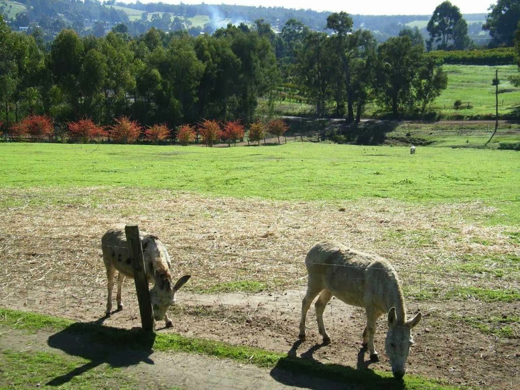 Sunnyhurst Chalets | lodging | 10 Doust St, Bridgetown WA 6255, Australia | 0429611081 OR +61 429 611 081