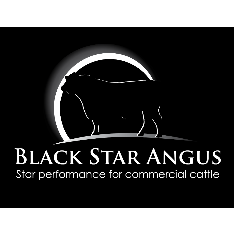 Black Star Angus | food | 75 Young Ln, Mudgegonga VIC 3737, Australia | 0418331311 OR +61 418 331 311