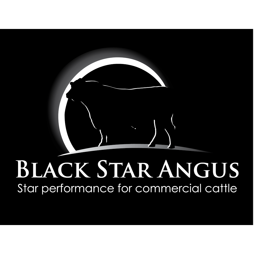 Black Star Angus | 75 Young Ln, Mudgegonga VIC 3737, Australia | Phone: 0418 331 311