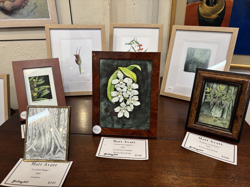 Gallery369 | 369 Lyrebird Ridge Rd, Springbrook QLD 4213, Australia | Phone: 0438 335 164