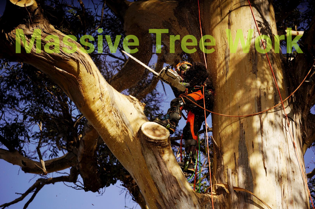 STC Tree Services | 1323 Arthur Hwy, Forcett TAS 7173, Australia | Phone: 0448 512 092