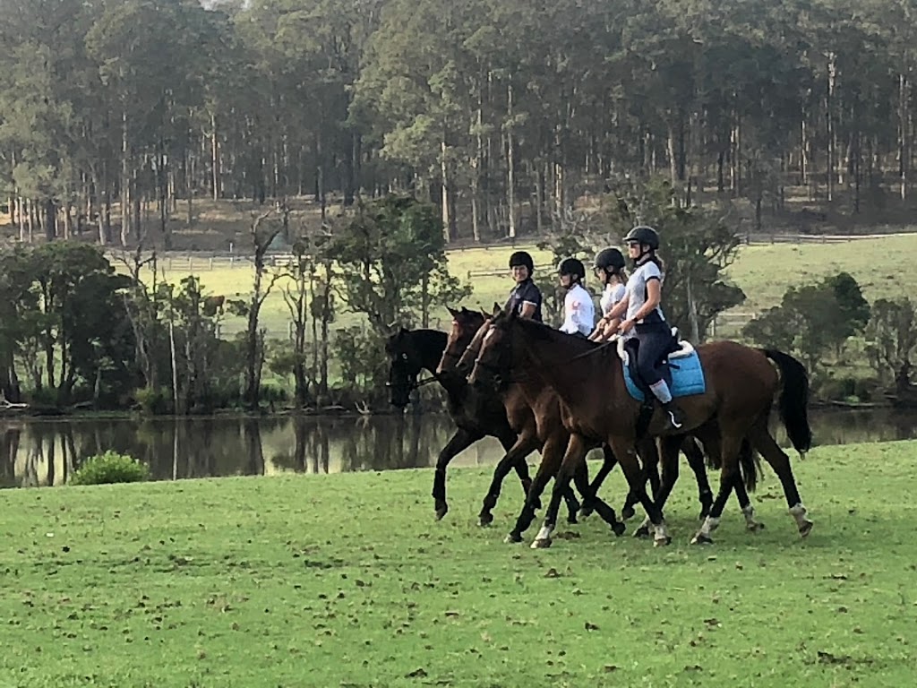 Equine Sense | campground | 32 Dicksons Rd, Jilliby NSW 2259, Australia | 0411871063 OR +61 411 871 063