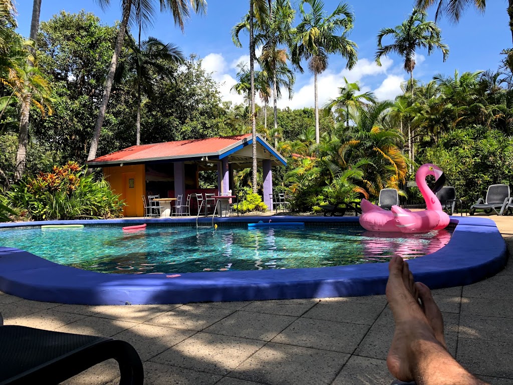 Pink Flamingo Resort | 115 Davidson St, Port Douglas QLD 4877, Australia | Phone: (07) 4099 6622