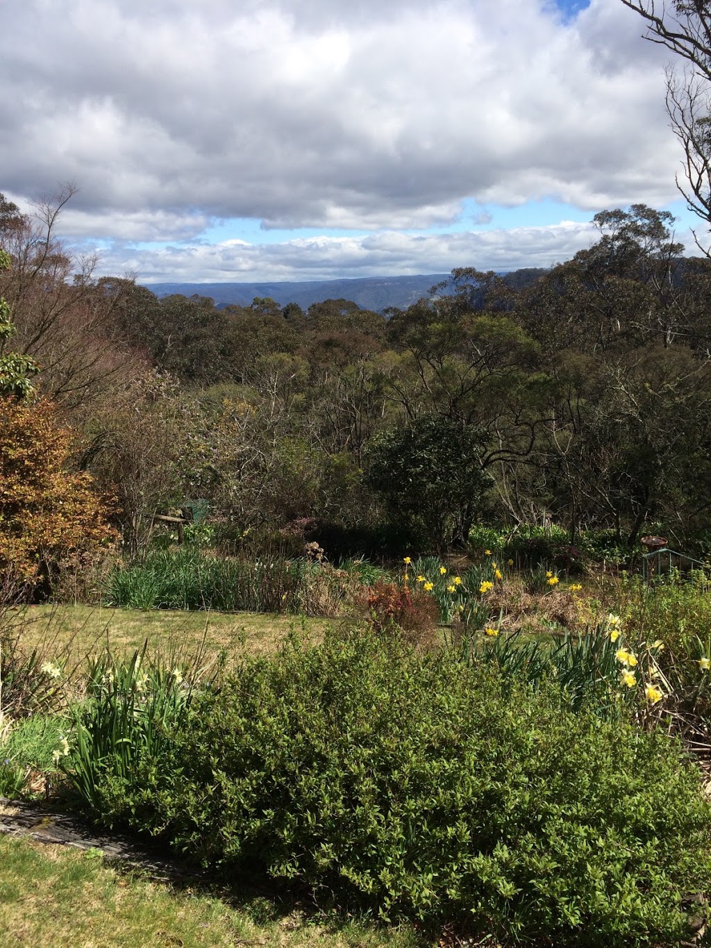 Aurora Cottage | 65 Narrow Neck Rd, Katoomba NSW 2780, Australia