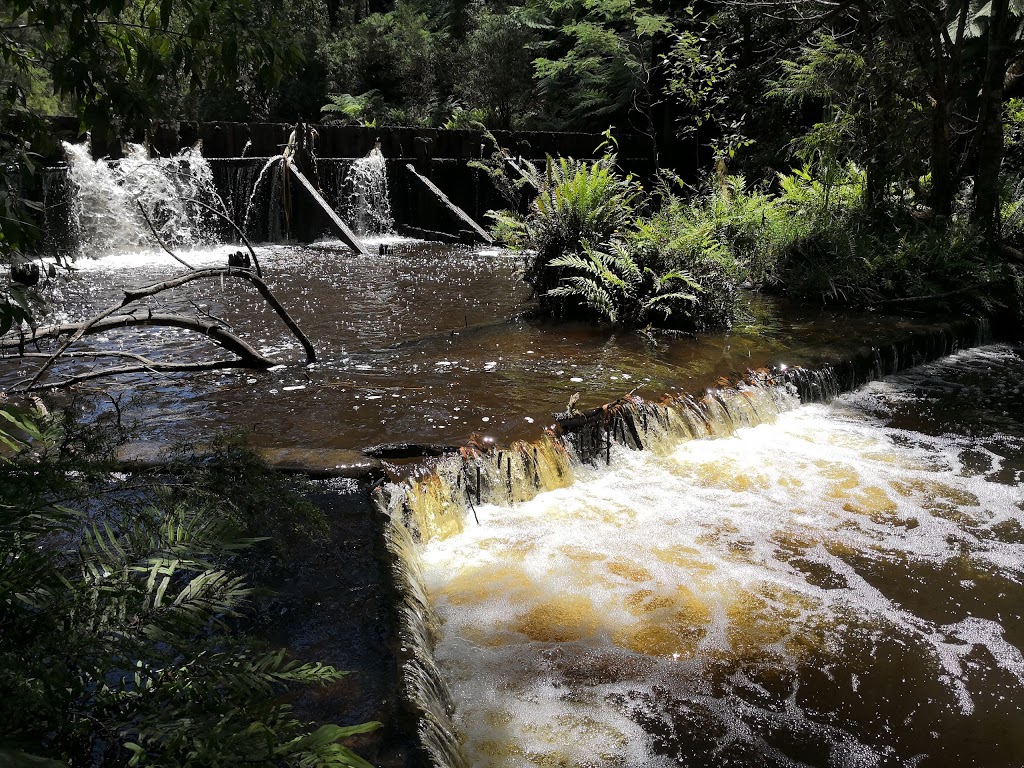 Tarago State Forest | Gentle Annie VIC 3833, Australia | Phone: 13 61 86