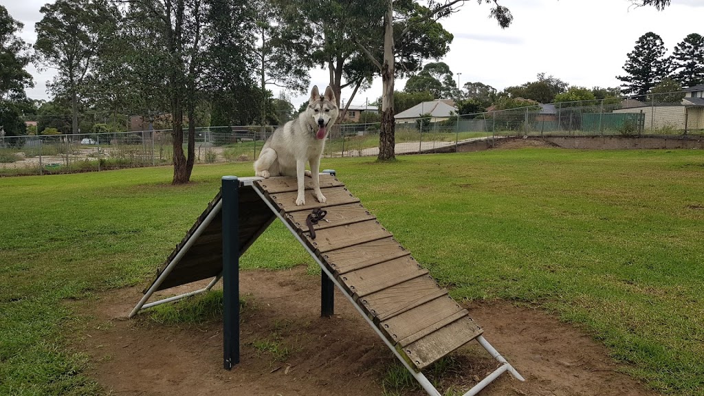 Dog Park | Narwee NSW 2209, Australia