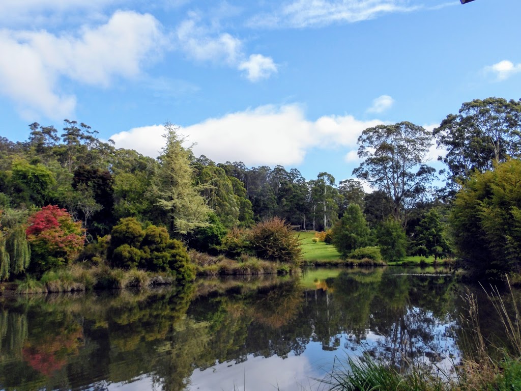 Tasmanian Arboretum | 46 Old Tramway Rd, Eugenana TAS 7310, Australia | Phone: (03) 6427 2690