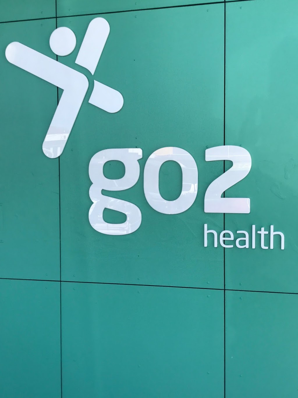 GO2 Health | physiotherapist | 468 S Pine Rd, Everton Park QLD 4053, Australia | 0733555540 OR +61 7 3355 5540