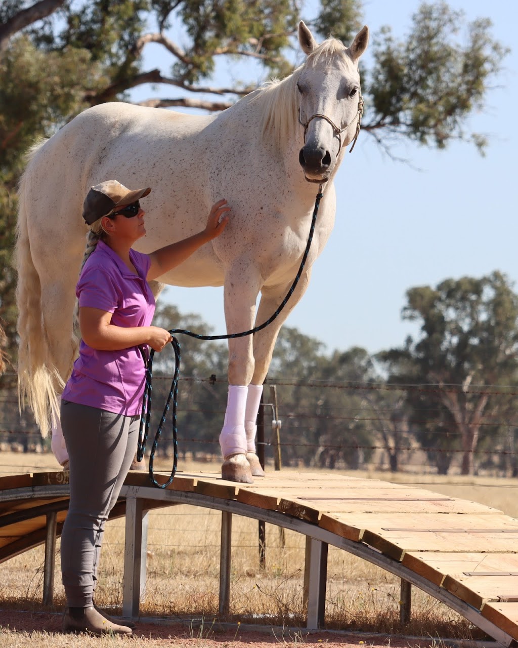 Merton Park | campground | 55 School Rd, Boho VIC 3669, Australia | 0408393035 OR +61 408 393 035