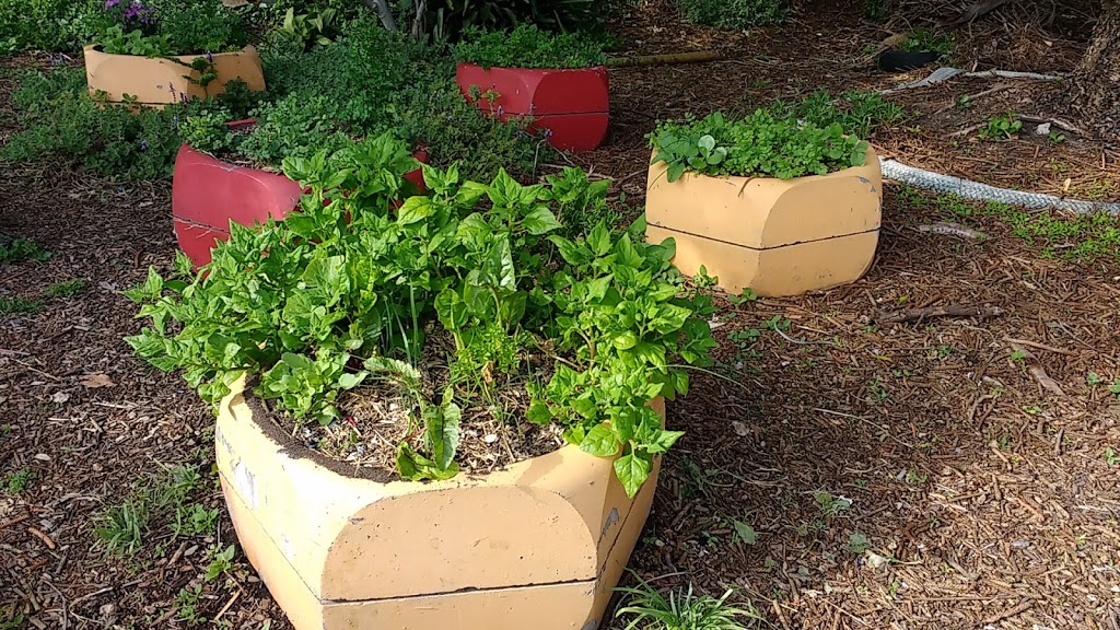 Sandhills Community Garden | Collier Cl, Newcastle NSW 2300, Australia