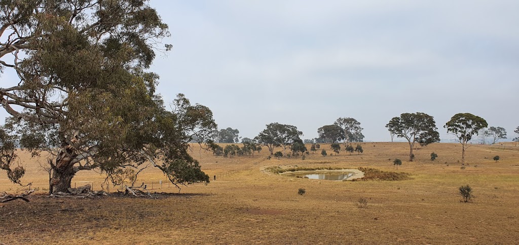 Mulanggari Grasslands Nature Reserve | Gungahlin ACT 2912, Australia