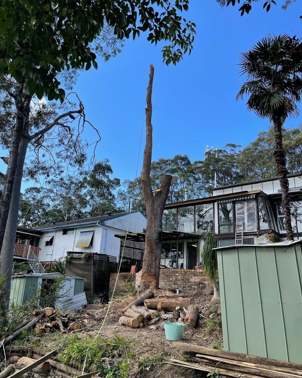 EziClip Tree Service | 14 Fernleigh Pl, New Lambton Heights NSW 2305, Australia | Phone: 0472 977 737