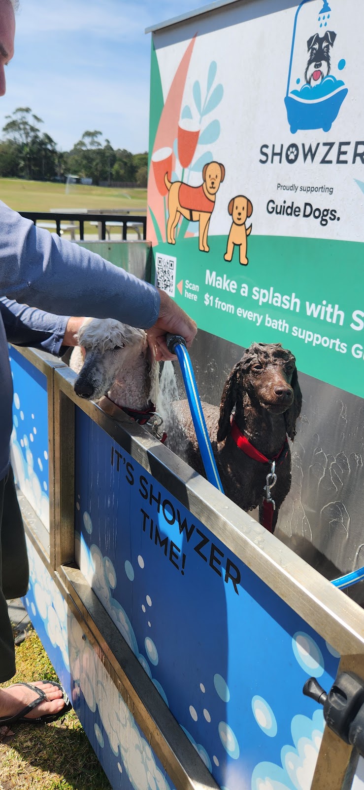 Showzer Dog Wash - Byron Bay Red Devils RLFC | 250 Bangalow Rd, Byron Bay NSW 2481, Australia | Phone: 0491 615 466