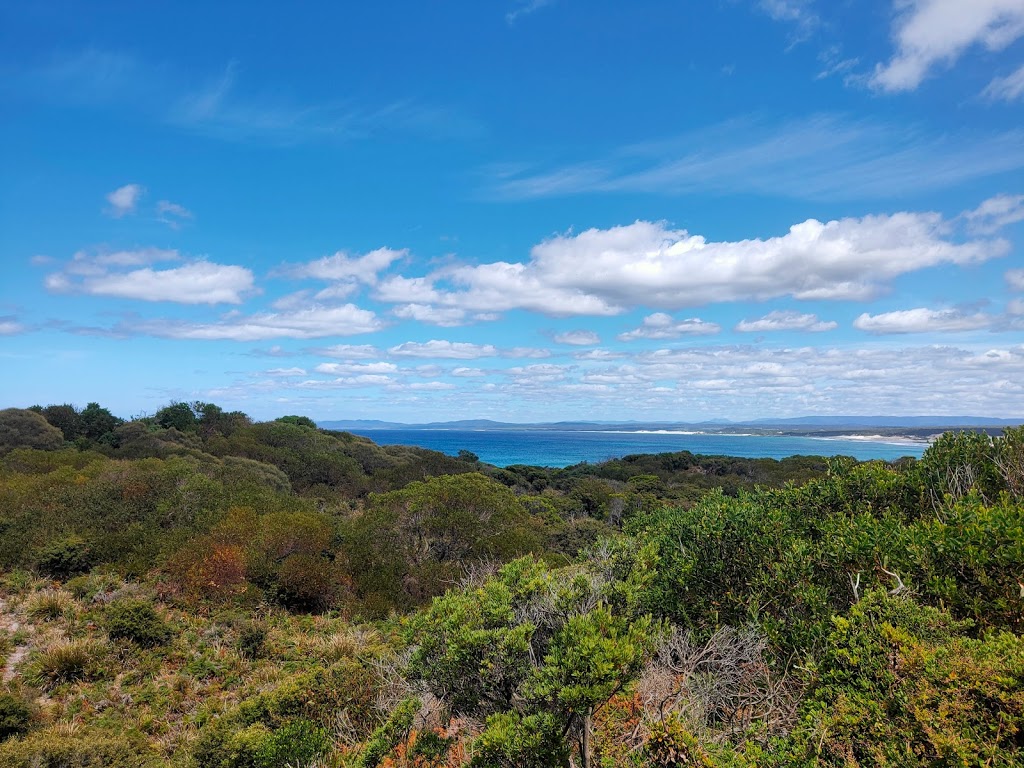 Mount William National Park | 800 Musselroe Rd, Mount William TAS 7264, Australia