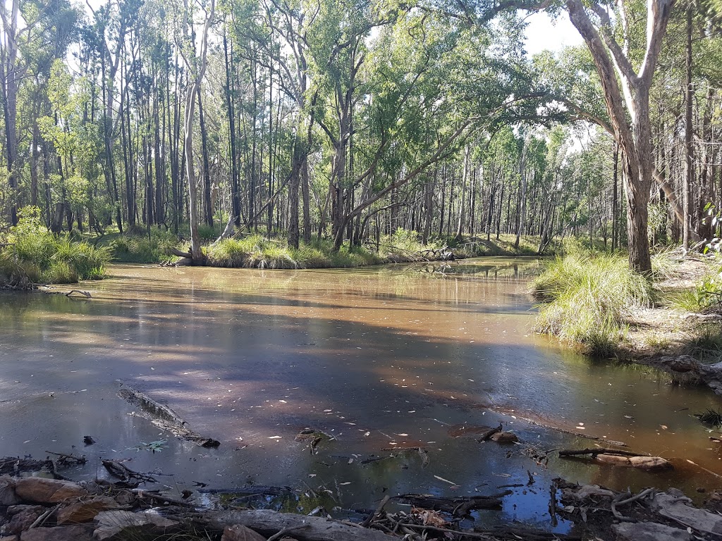 Barakula State Forest | park | Queensland, Australia
