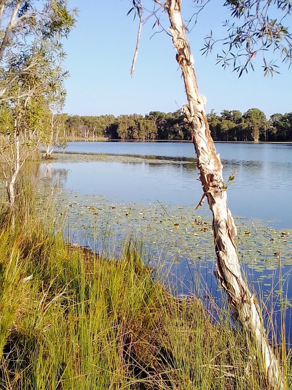 Sandstone Lakes | Ningi QLD 4511, Australia