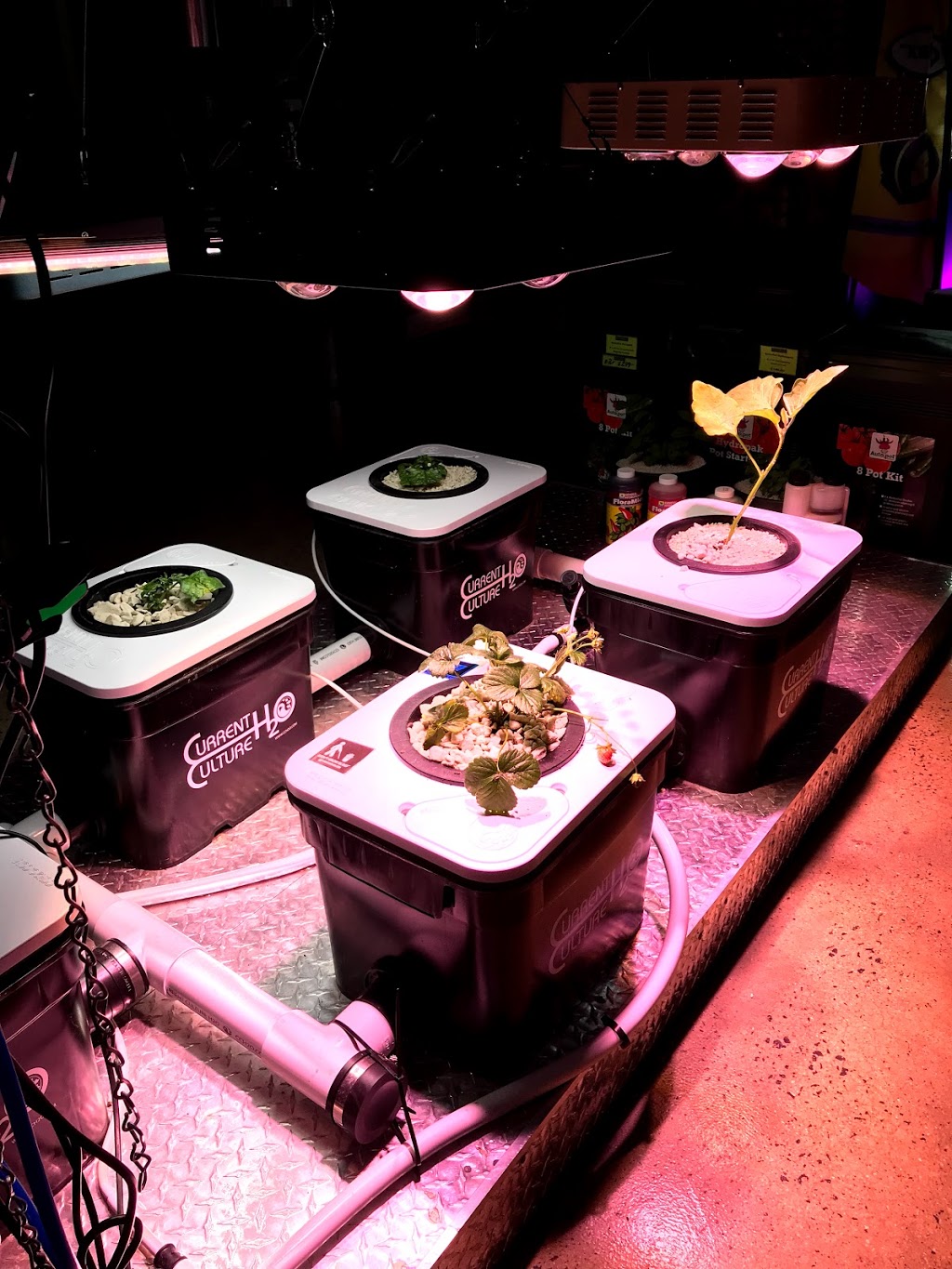 Simply Hydroponics | store | 5/411-413 Old Geelong Rd, Hoppers Crossing VIC 3029, Australia | 0393609344 OR +61 3 9360 9344