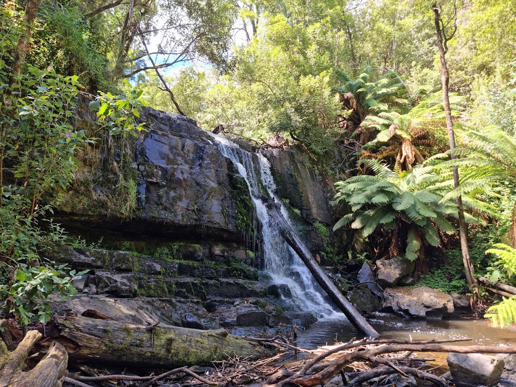 Lilydale Falls | tourist attraction | Lilydale Rd, Lilydale TAS 7268, Australia | 0363526520 OR +61 3 6352 6520